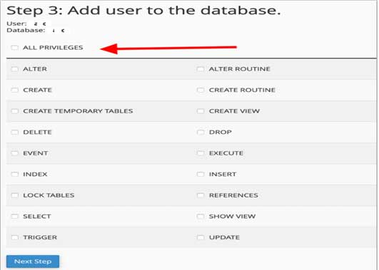 Add user to database